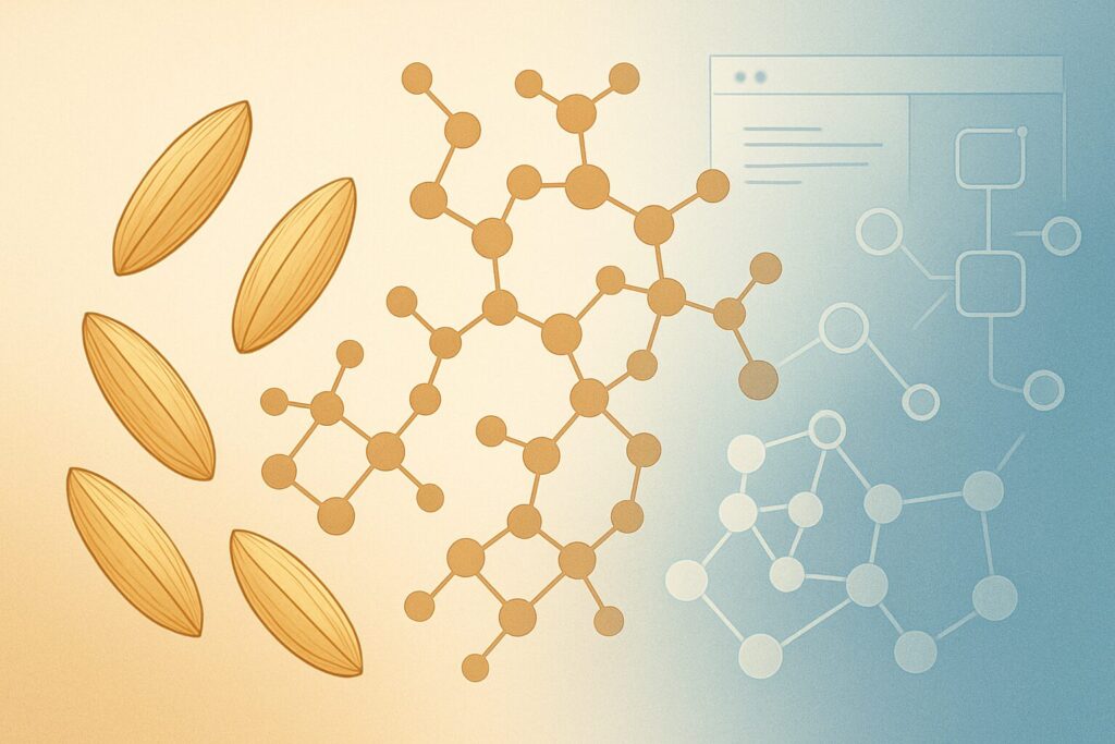 米菓鑑定士からAI共創思想家への変容を表現した思想の粒子構造イメージ